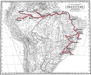 Archivo:Martius and Spix route in Brazil 1817-1820
