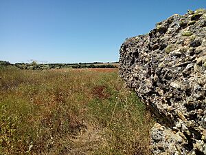 Archivo:Muro visible del castillo de Lagunas Rubias