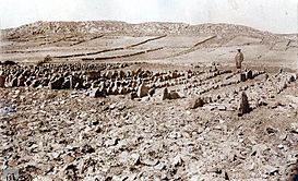 Necropolis del portillo (M.A.N. Inv. 1940-27-FF-00027).jpg