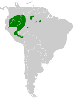 Distribución geográfica del batará arbustero.
