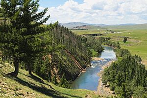 Archivo:Orkhon River Valley (39317572164)