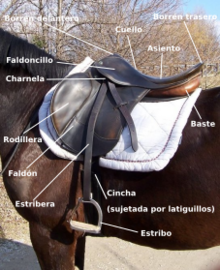 Archivo:Partes de la silla de montar inglesa