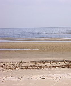 Playa Artilleros.jpg
