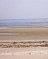 Playa Artilleros