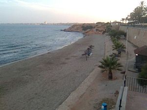 Archivo:Playa flamenca, orihuela