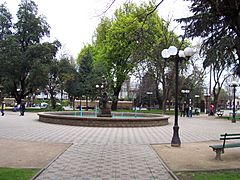 Archivo:Plaza de Armas Linares Imagen 006