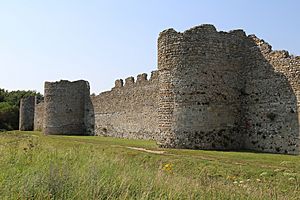 Archivo:Portchester Castle D shaped towers