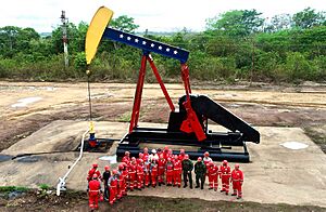 Archivo:Pozo Petrólero Guafita X1