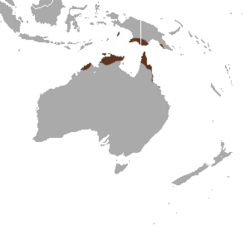 Mapa de distribución deSminthopsis virginiae
