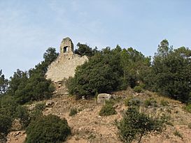 Ruinas del castillo de Rocafort.jpg