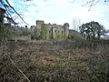 Ruperra Castle ruins from the south - geograph.org.uk - 2833114
