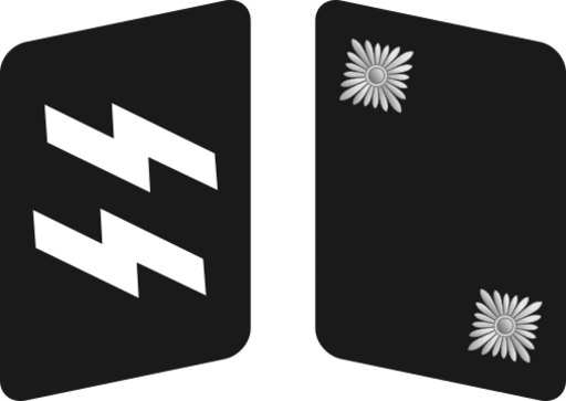 SS-Oberscharführer