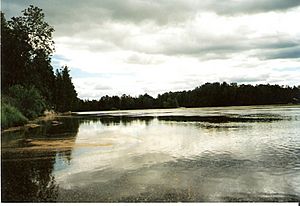 Archivo:Skelleftea, Suecia, 2002-07, DD 033