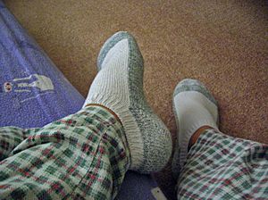 Archivo:Socks and PJ