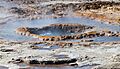 Strokkur, Área geotérmica de Geysir, Suðurland, Islandia, 2014-08-16, DD 082