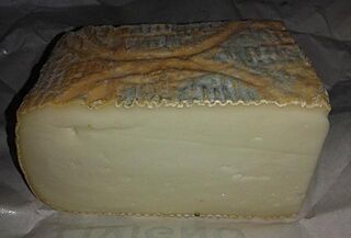 Taleggio Cheese.jpg