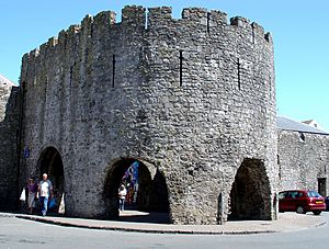 Archivo:Tenby2560lg