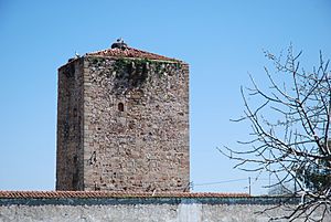 Torre de Almaraz 7.JPG