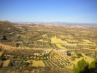 Trijueque (La Alcarria) 2601.jpg
