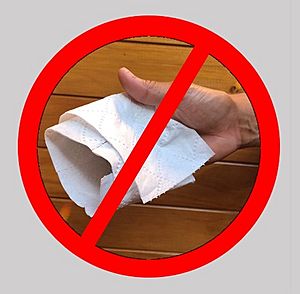 Archivo:Uso NO ecológico del papel higiénico