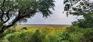 Archivo:Vista panóramica mirador de la barranca en Parque Nacional Ciervo de los Pantanos