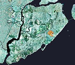 Wpdms nygis new dorp.jpg