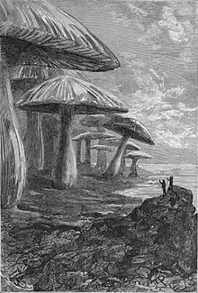 'Journey to the Center of the Earth' by Édouard Riou 38.jpg