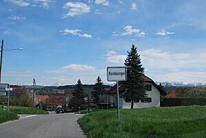 Archivo:2012-04-26 Sense-Sarino (Foto Dietrich Michael Weidmann) 267