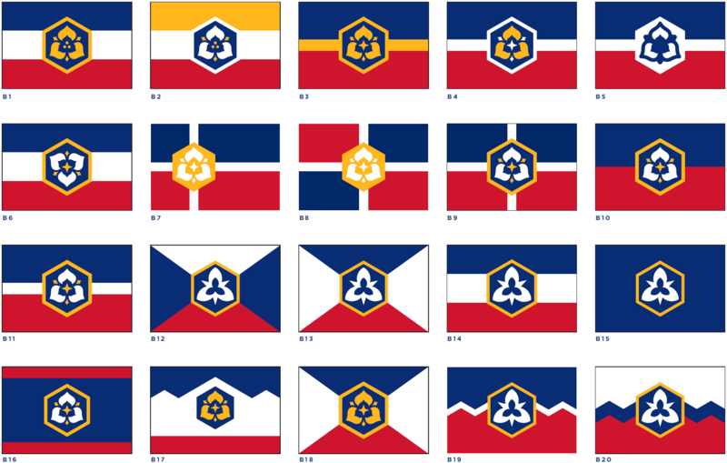 2020 Perserverance Flags- Barnes