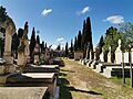 20250325 105059 Cementerio de Torrero