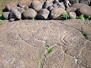 Archivo:Ahu-Tongariki-4-Petroglyph