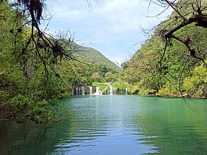 Archivo:Cascadas de Micos (Ciudad Valles) - Huasteca Potosina