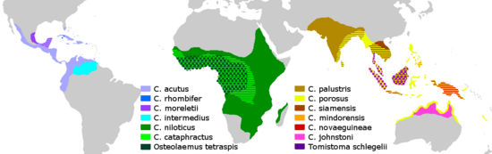 Archivo:Crocodylidae Distribution
