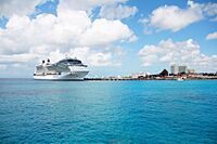 Archivo:Cruise Port San Miguel