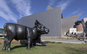 Dan Ostermiller's 2003 "Scottish Angus Cow & Calf" sculpture outside the Denver Art Museum in Colorado LCCN2015633485