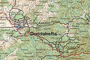 Archivo:Doddabetta Peak