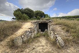 Dolmen (hipogeo) de Longar (49268303387).jpg