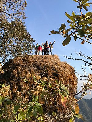 Archivo:El Peñon" Ayutla,Jalisco