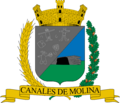 Escudo de Casares de Molina