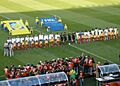 FIFA World Cup 2010 Serbia Ghana