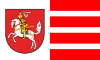 Flagge Kreis Dithmarschen.svg