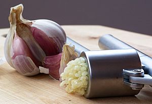 Archivo:Garlic Press and Garlic