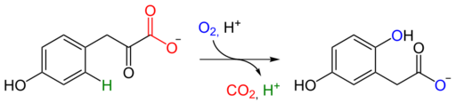 HPPD reaction