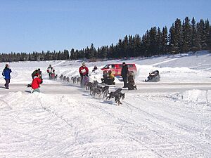 Archivo:Hay River dog sled