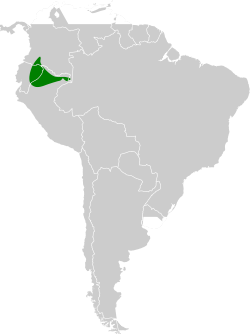 Distribución geográfica del tiluchí de Dugand.