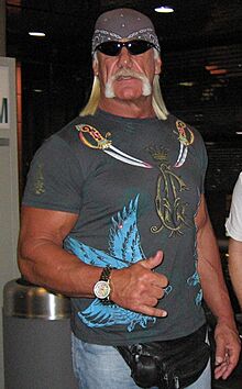 Hulk-a-Mania Brother (2722848959).jpg