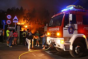 Archivo:Incendio forestal en Puente Sampayo (28617467760)