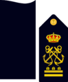 Infmaridivi17a