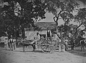Archivo:James Hopkinsons Plantation Slaves Going to Field