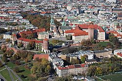 Krakow - Wawel from balloon - 1.jpg